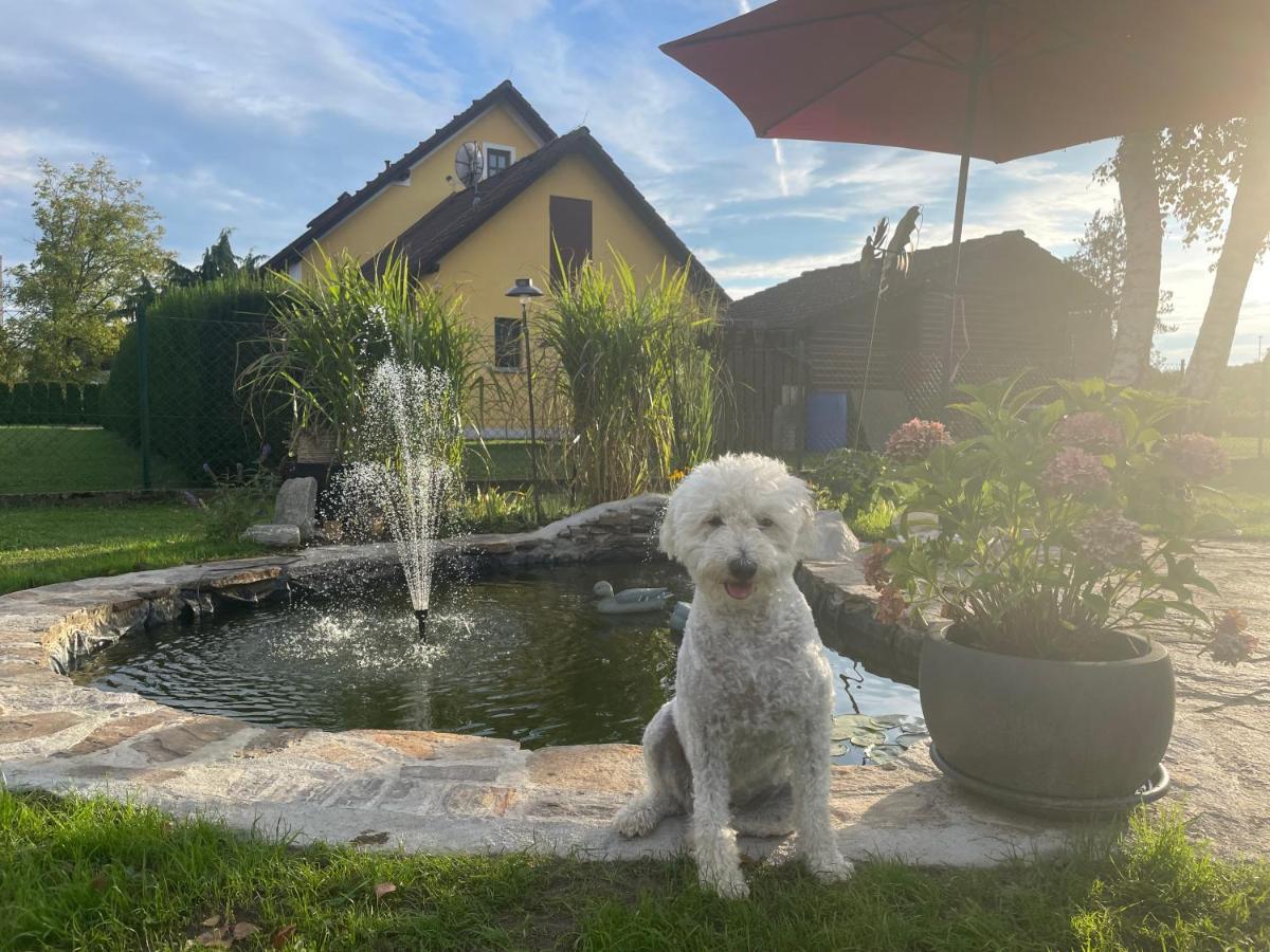 Ferienwohnung Eva Mureck Buitenkant foto